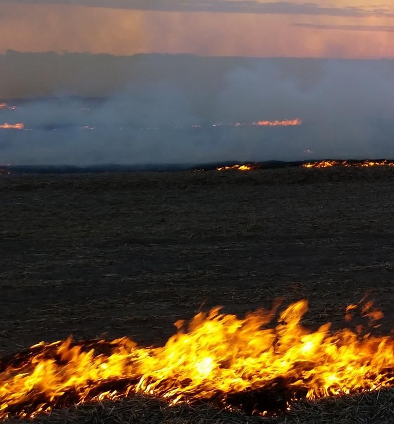 Watch Video 45kph_to_60kph.mp4