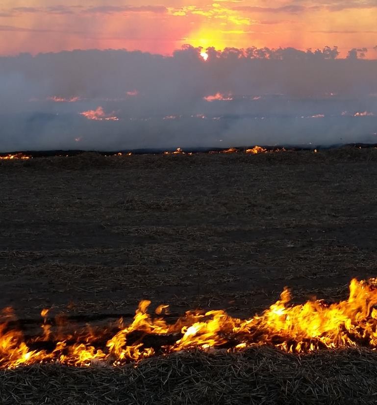 Watch Video 50kph.mp4