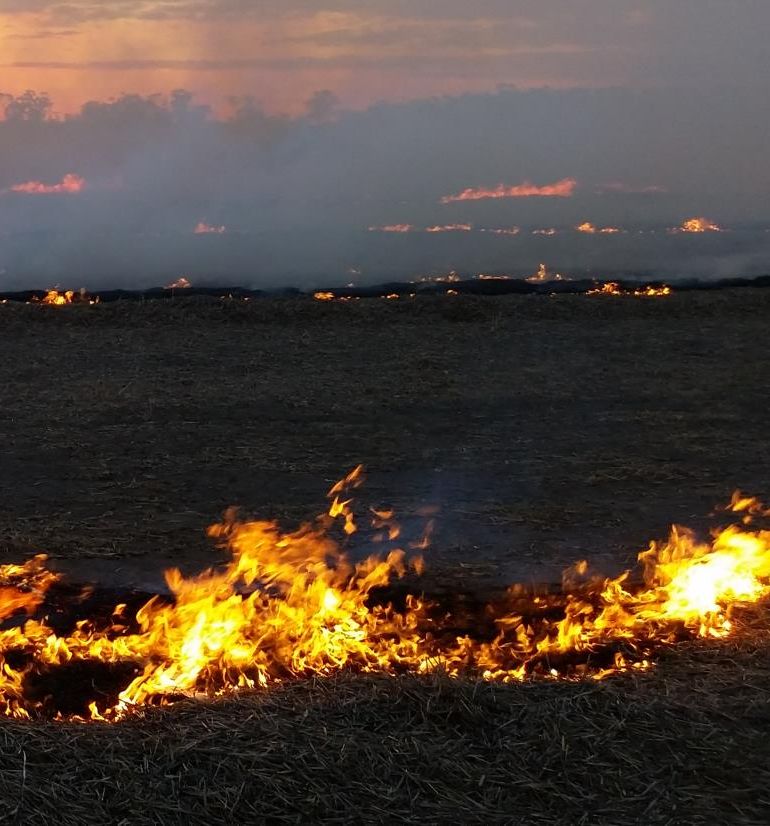 Watch hires Video 50kph_1080.mp4